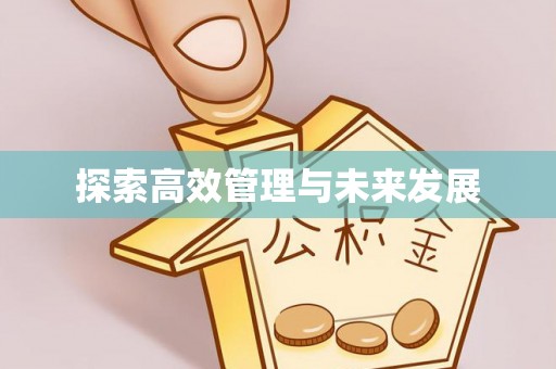 邯郸探索高效管理与未来发展