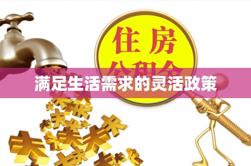 邯郸满足生活需求的灵活政策