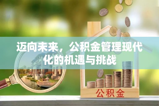 邯郸迈向未来，公积金管理现代化的机遇与挑战