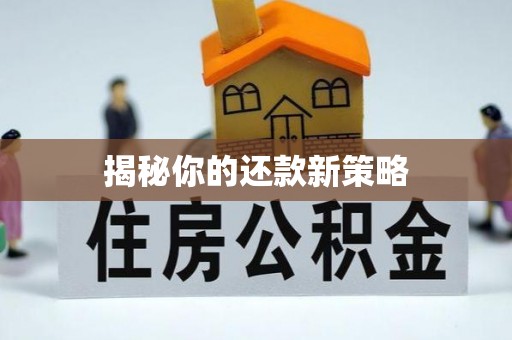 邯郸揭秘你的还款新策略
