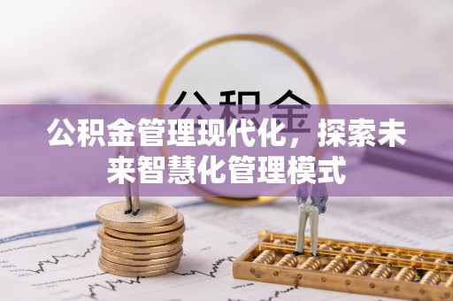 邯郸公积金管理现代化，探索未来智慧化管理模式