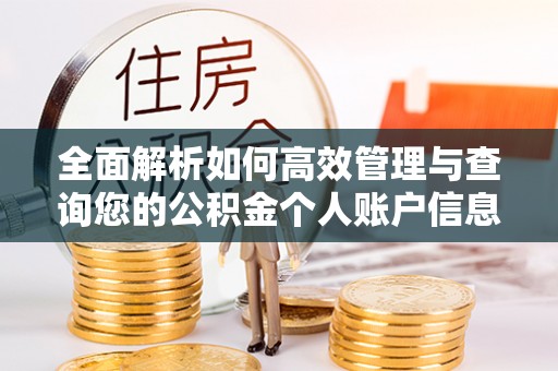 邯郸全面解析如何高效管理与查询您的公积金个人账户信息
