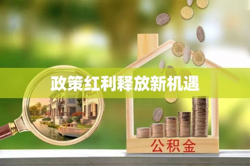 邯郸政策红利释放新机遇