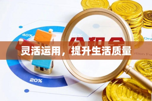 邯郸灵活运用，提升生活质量