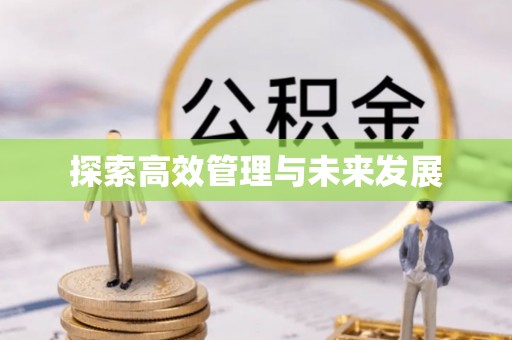 邯郸探索高效管理与未来发展