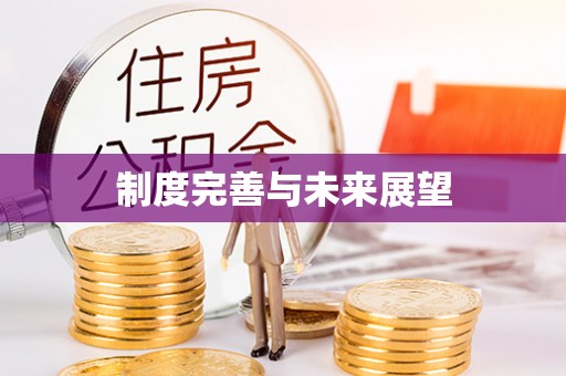 邯郸制度完善与未来展望