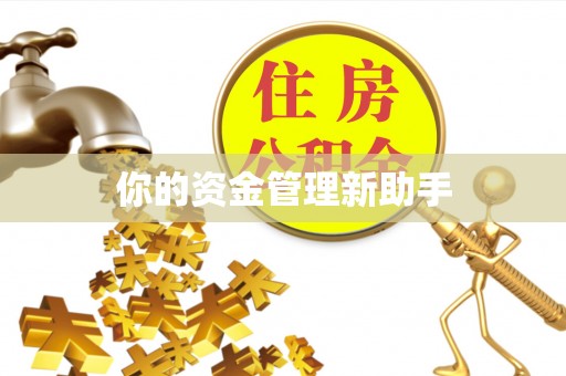 邯郸你的资金管理新助手
