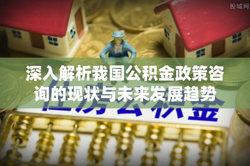 邯郸深入解析我国公积金政策咨询的现状与未来发展趋势