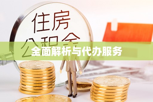邯郸全面解析与代办服务