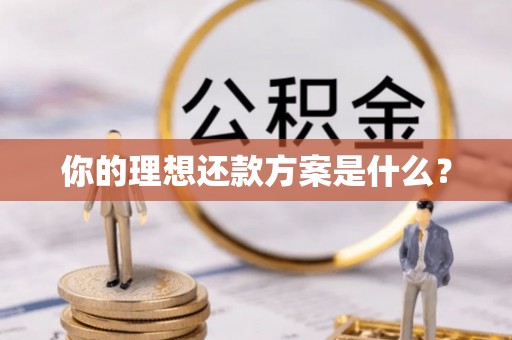 邯郸你的理想还款方案是什么？