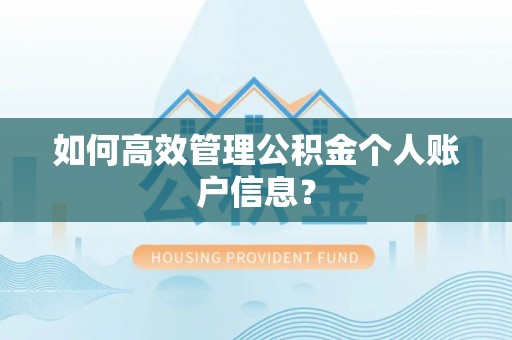 邯郸如何高效管理公积金个人账户信息？