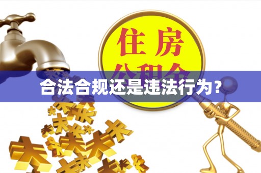 邯郸合法合规还是违法行为？