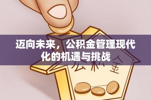 邯郸迈向未来，公积金管理现代化的机遇与挑战