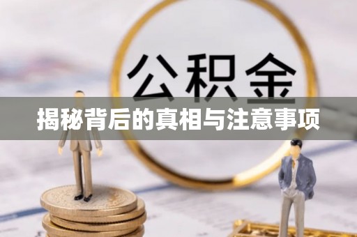 邯郸揭秘背后的真相与注意事项