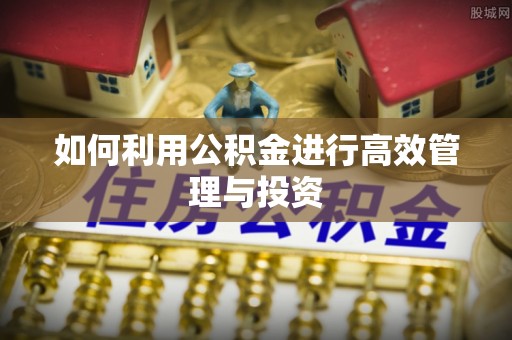 邯郸如何利用公积金进行高效管理与投资
