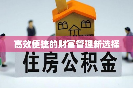 邯郸高效便捷的财富管理新选择