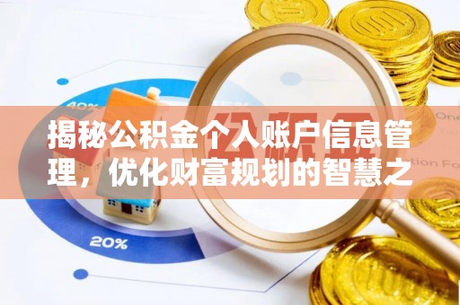 邯郸揭秘公积金个人账户信息管理，优化财富规划的智慧之选